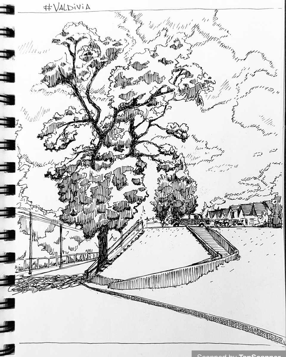 akironman2's tweet photo. #valdivia #valdiviachile #Chile #sketchbook #sketch #inkart https://t.co/kRZLSVVEWY
