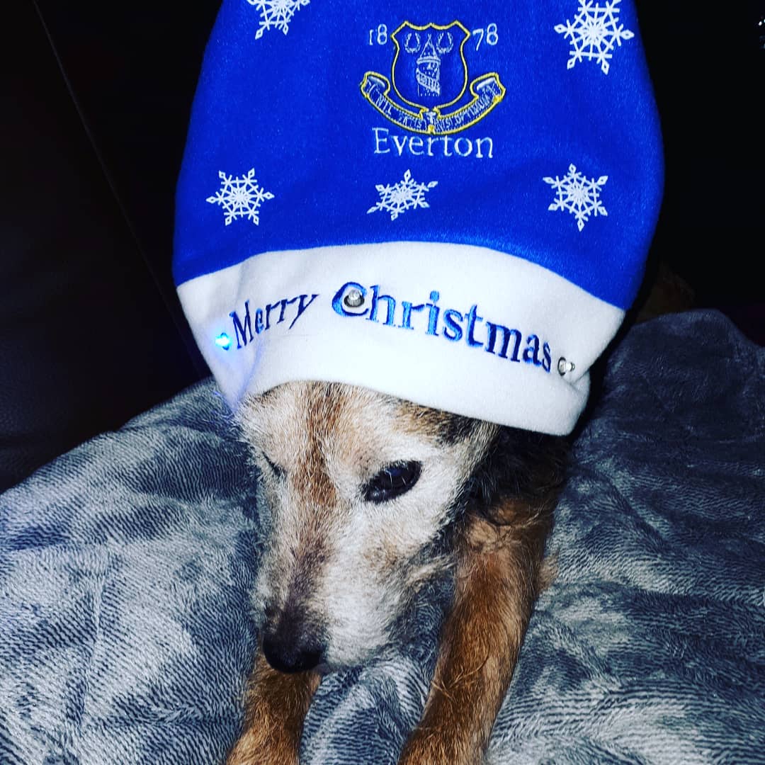 Up the fuckin Toffees!