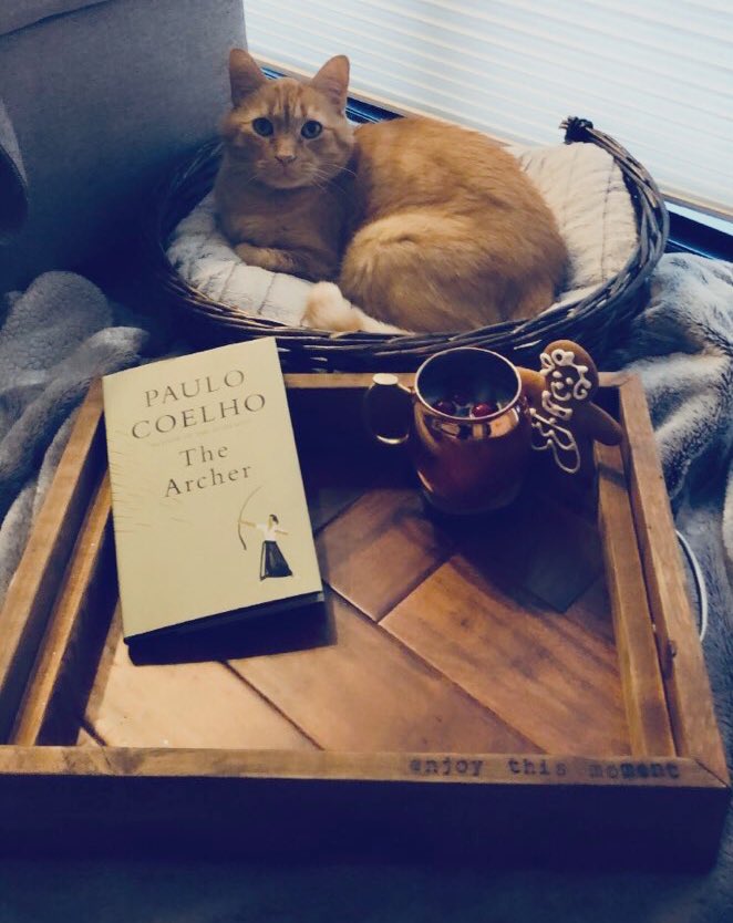 Kris123k's tweet photo. Happy Holidays! Enjoy this moment. @paulocoelho #archer #autumnriverwood https://t.co/ZauEZBAWoo