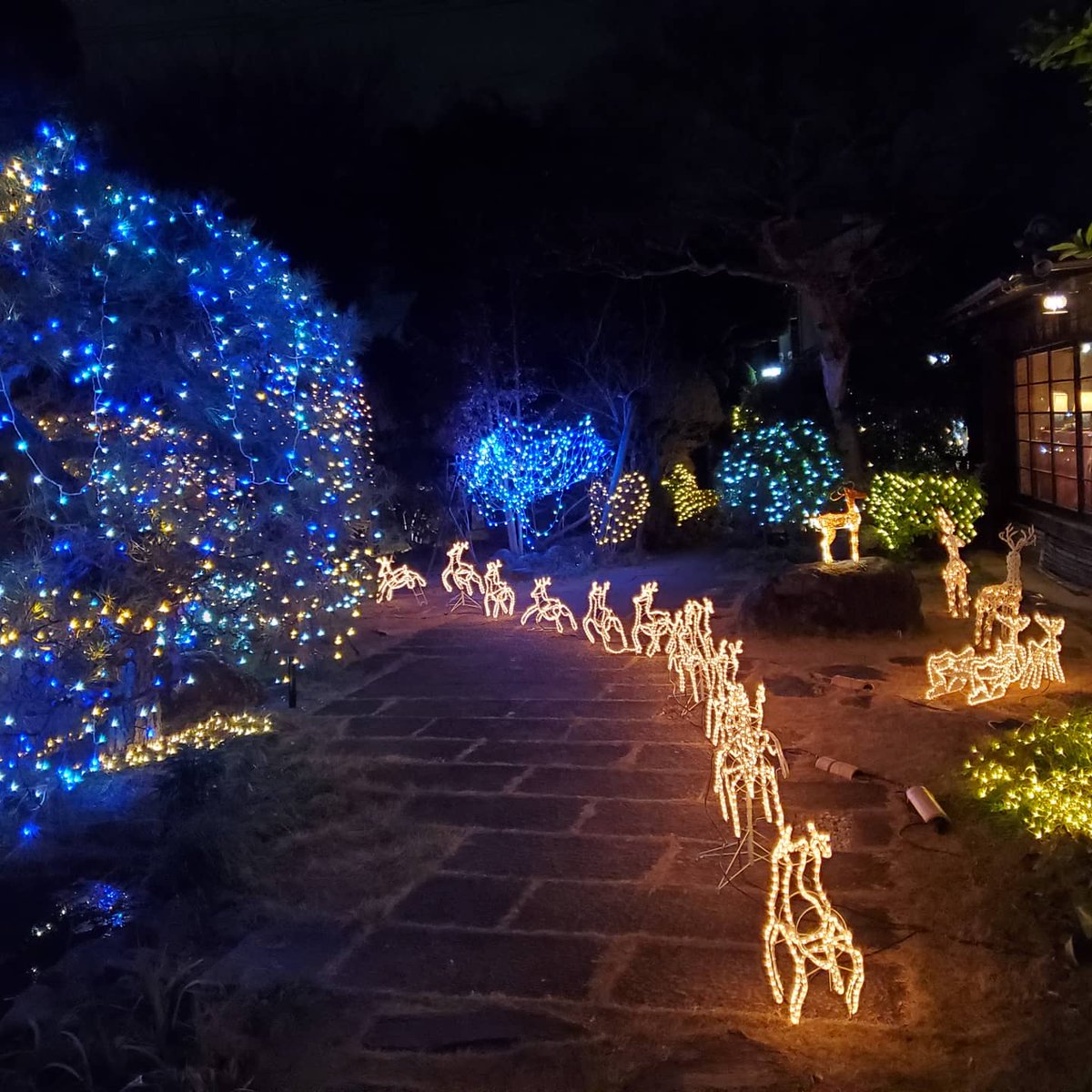 日本国登録有形文化財 会席料理 二木屋 二木屋のクリスマスイルミネーション 30日までご覧いただけます 今年のクリスマスも多くの方にお越しいただき ありがとうございます 二木屋 さいたま市 国登録有形文化財 会席料理 北浦和 埼玉 ステーキ 日本国登録有形文化財 会席料理 二木屋 二木屋のクリスマスイルミネーション 30日までご覧いただけます 今年のクリスマスも多くの方にお越しいただき ありがとうございます 二木屋 さいたま市 国登録有形文化財 会席料理 北浦和 埼玉 ステーキ