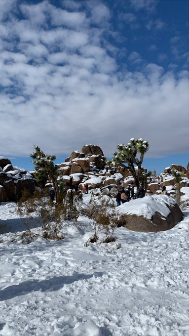 A year ago exactly in Joshua Tree https://t.co/eb2e7NxKm9