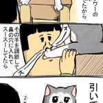 残念だけど、私が飼い主だ。くつろいでいる猫の掌を「自分の鼻に突っ込んだら」、引いてた。