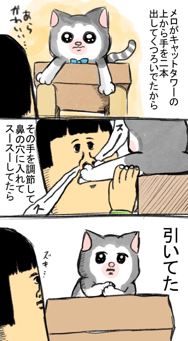残念だけど、私が飼い主だ。くつろいでいる猫の掌を「自分の鼻に突っ込んだら」、引いてた。