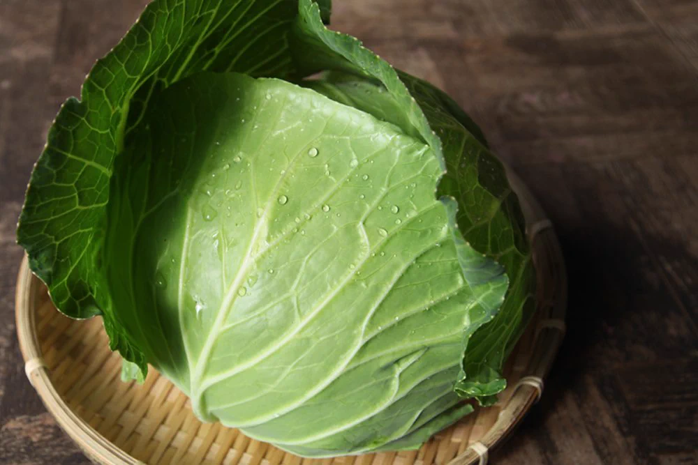 こんなに優秀な奴だった？キャベツが「食べる薬」と呼ばれている理由！