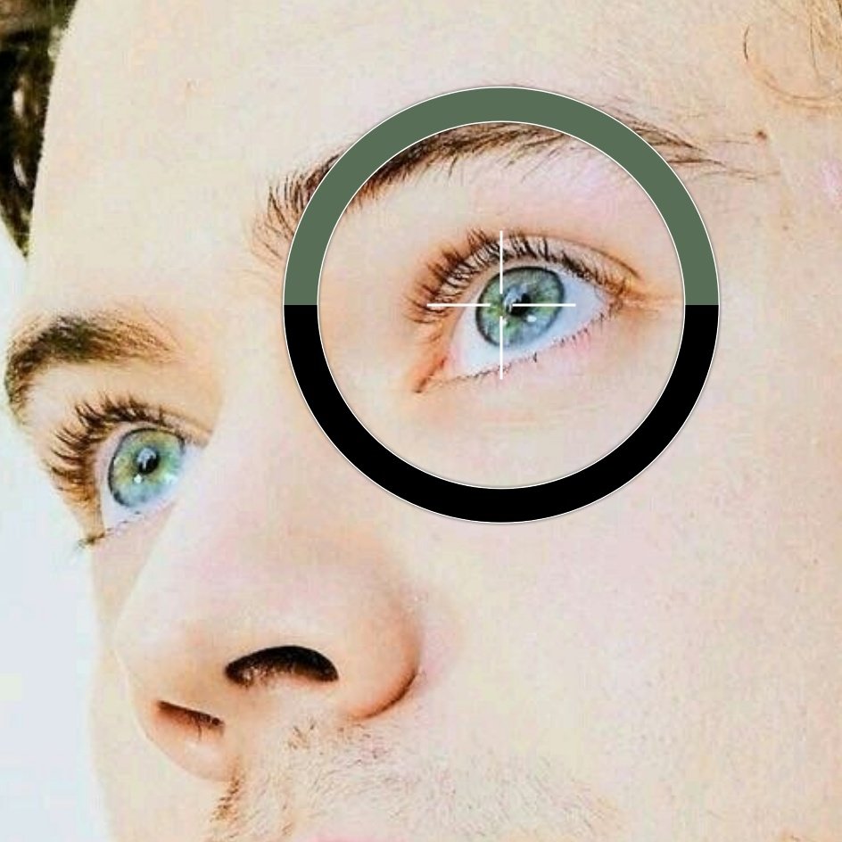 shades of green in harry styles' eyes || a thread