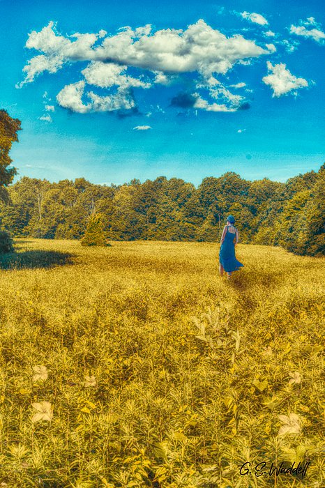 New artwork for sale! - "Lazy Summer Day" - fineartamerica.com/featured/lazy-… @fineartamerica