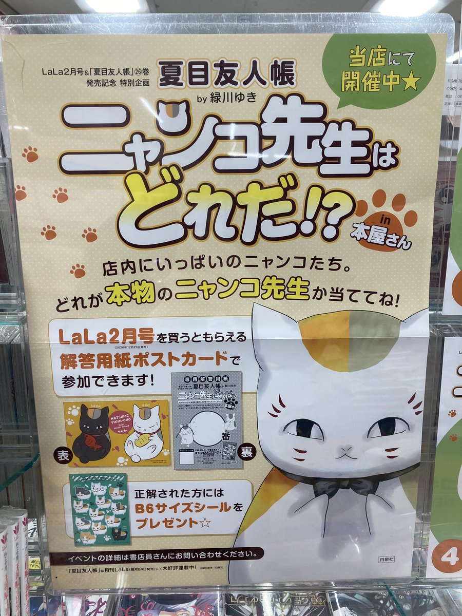 アニメイト熊本 夏目友人帳 ニャンコ先生はどれだ 大好評開催中クマ 現在発売中の Lala2月号 ご購入でご参加いただけますクマ また ニャンコ先生を探せ も 同時開催中クマ 詳しくは熊本店スタッフにお声がけクマさい ニャンコ