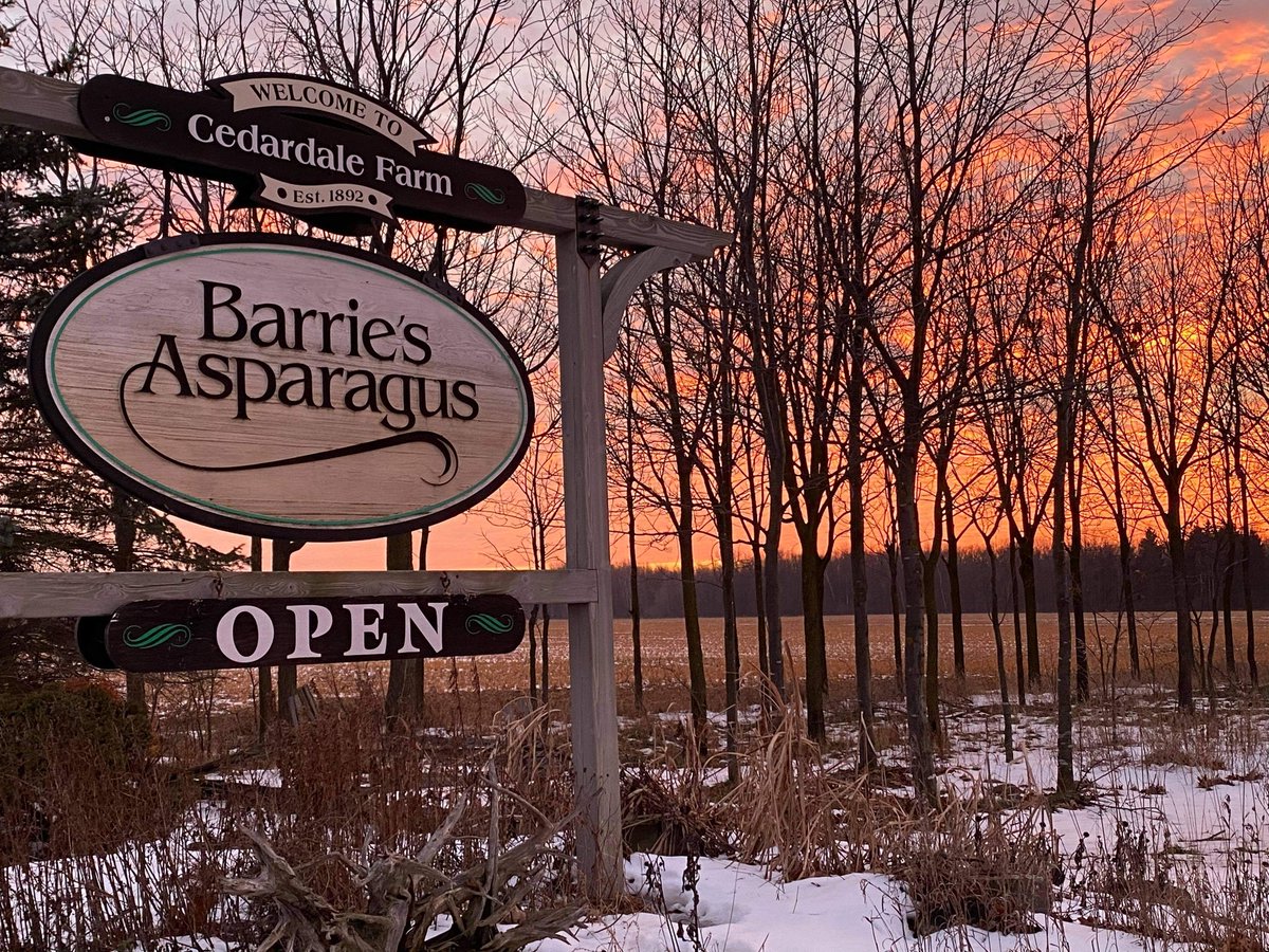 Barrie's Asparagus (@4loveofaspargus) on Twitter photo Covid Update
For the safety of our staff and customers...
Please note when we re-open on Monday after Christmas we will be porch pick up only.
Product list available by emailing asparagus@rogers.com
Order by phone, text, or email
<a href="/blacksmith_bean/">Blacksmith & Bean</a>
<a href="/SpudsFinest/">Spud's Finest</a>
<a href="/LilyPureNatural/">Lily Pure Naturals</a> Covid Update
For the safety of our staff and customers...
Please note when we re-open on Monday after Christmas we will be porch pick up only.
Product list available by emailing asparagus@rogers.com
Order by phone, text, or email
<a href="/blacksmith_bean/">Blacksmith & Bean</a>
<a href="/SpudsFinest/">Spud's Finest</a>
<a href="/LilyPureNatural/">Lily Pure Naturals</a>