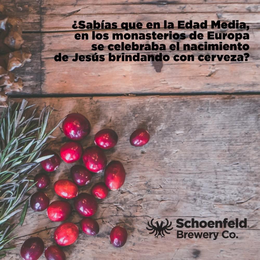 Feliz Navidad! #Prost #MySchoenfeldLife #SchoenfeldFact