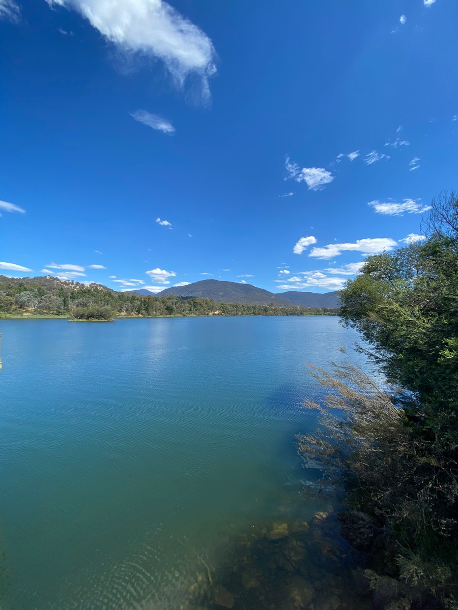 Nice day for it 👍