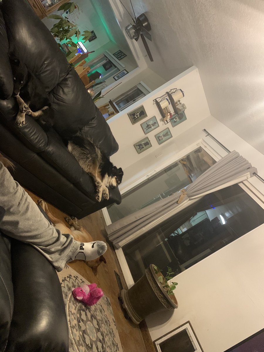 Family time today looked a lot like this. <a href="/Kenneth_Zone2/">Kenneth salazar</a> <a href="/SalazarAPSz2/">APSSalazar</a>