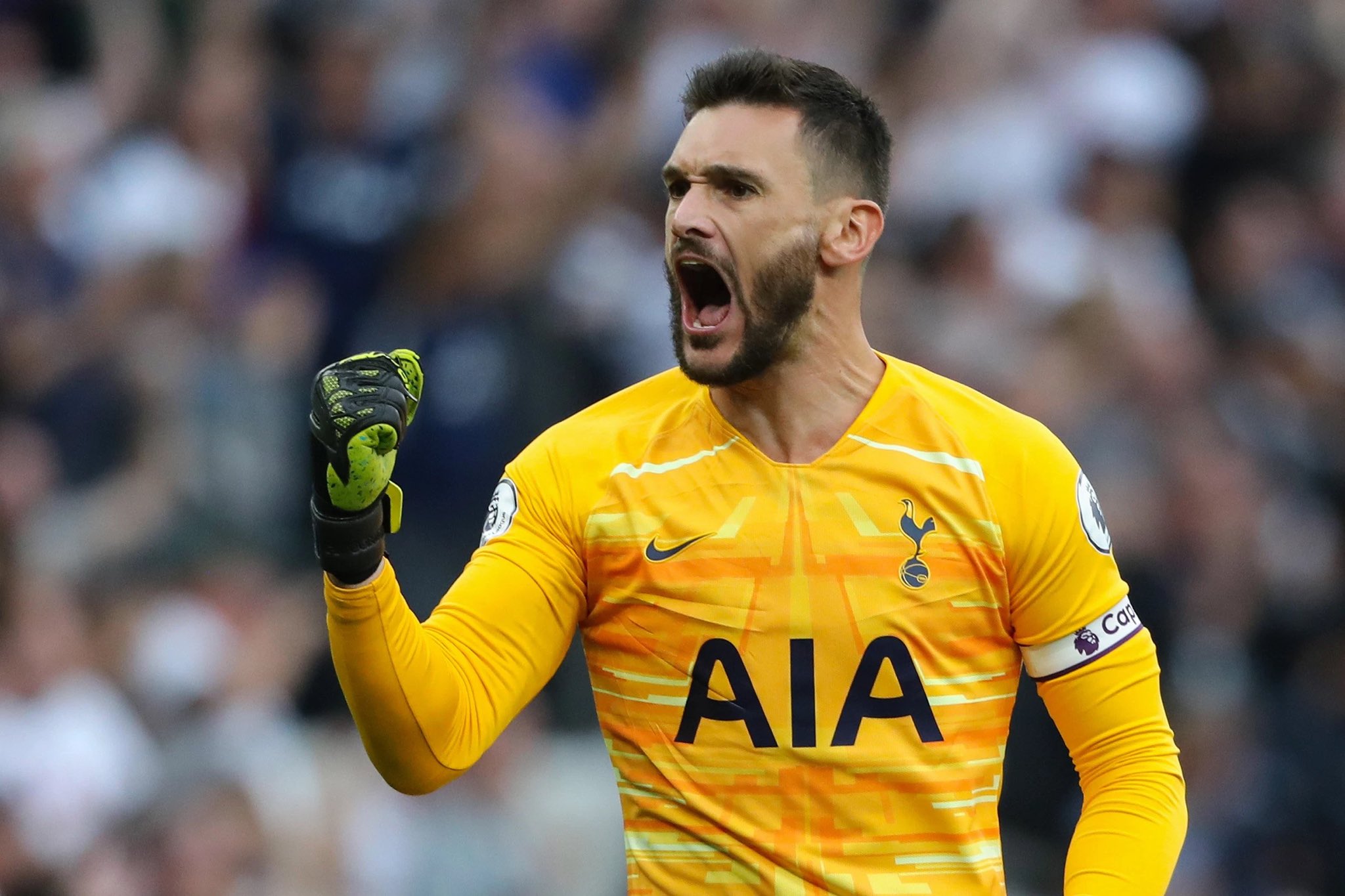 Happy birthday to my king hugo lloris 