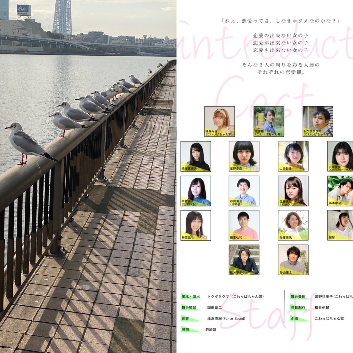 snachi18's tweet photo. 駅に向かう川辺。
カモメ整列…今日も頑張ろう。 https://t.co/h5MW2iHECu