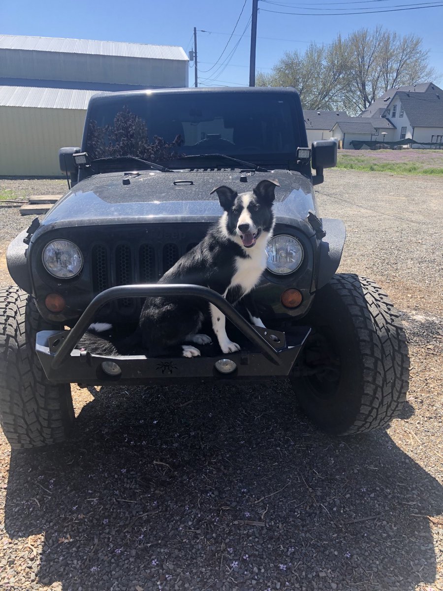 4wheelsnlockers's tweet photo. Just a throw back to sunny weekends and ole sport! https://t.co/QWo0K80w1G