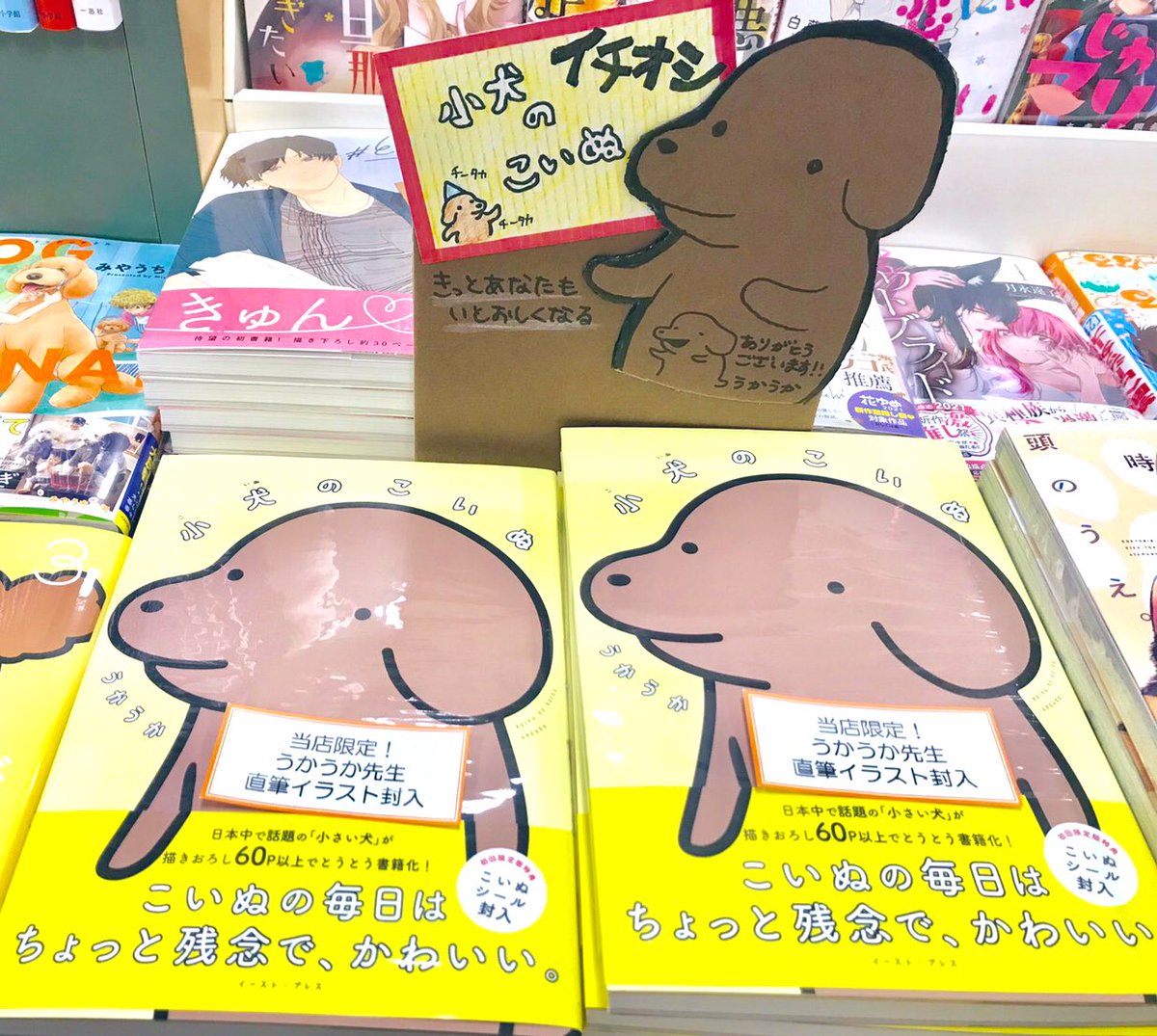 #小犬のこいぬ
いろいろな書店で置いてくださっているのを見て嬉しいです!こちらはi・BOOK屯田店さんです? (ご挨拶にうかがった際にささやかですがイラストを提供させていただきました?) 