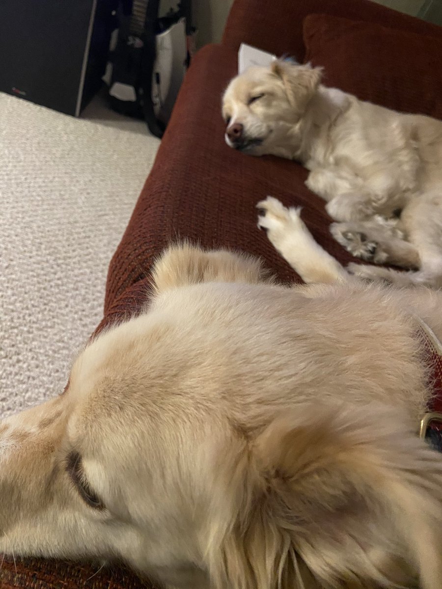 rogerapage's tweet image. Just here to bless your timeline courtesy of the #DirtyB’s 😄👊🏼