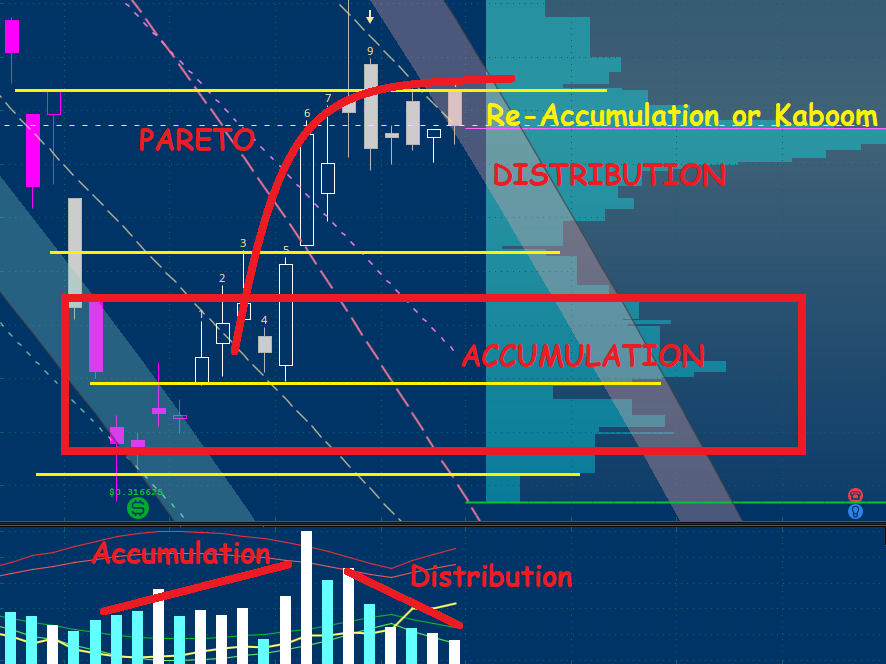 what is "casino behavior"?a) have a processb) understand structurec) accumulate clandestinely over timed) distribute in Pareto 80/20 fashione) govern market participant's emotions