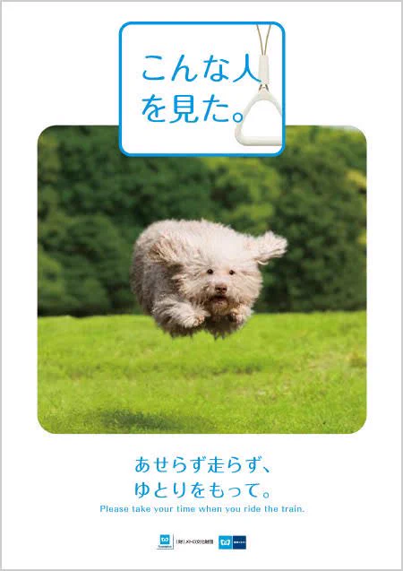 @DJWILDPARTY かわいいです！
これ似てませんか？笑 
