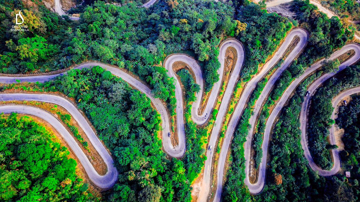 JambeyDondu's tweet photo. WORLD'S MOST BEAUTIFUL ROAD IS THE ROAD TO SHANGRI-LA!
@PemaKhanduBJP @incredibleindia 
@tourismgoi 
#DiscoverShangrilaWithJambey https://t.co/WsyvyAtsA1