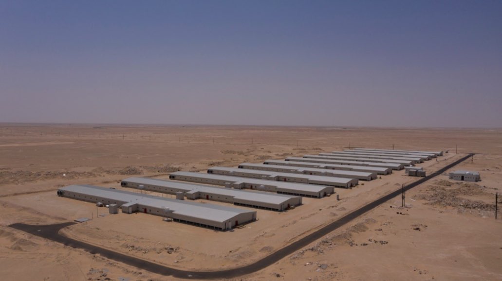 🔴  مشروع "أصول للدواجن" سيبدأ التشغيل الفعلي بداية العام القادم 

🔻تكلفة المشروع :  61.5 مليون ريال عُماني بشراكة بين عددٍ من المؤسسات والشركات الحكومية والخاصة من داخل وخارج السلطنة.