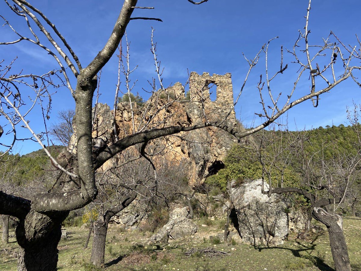 ConnectaNatura's tweet photo. 📸 Voleu més fotos de la nova #RutaInterpretativa per #Xinquer?
Prompte vos donarem més informació. De moment, esperem que les gaudiu!
#ConnectaNatura #SalutiNatura #SerraEspadà #EducacióAmbiental https://t.co/3yAOtWfClK
