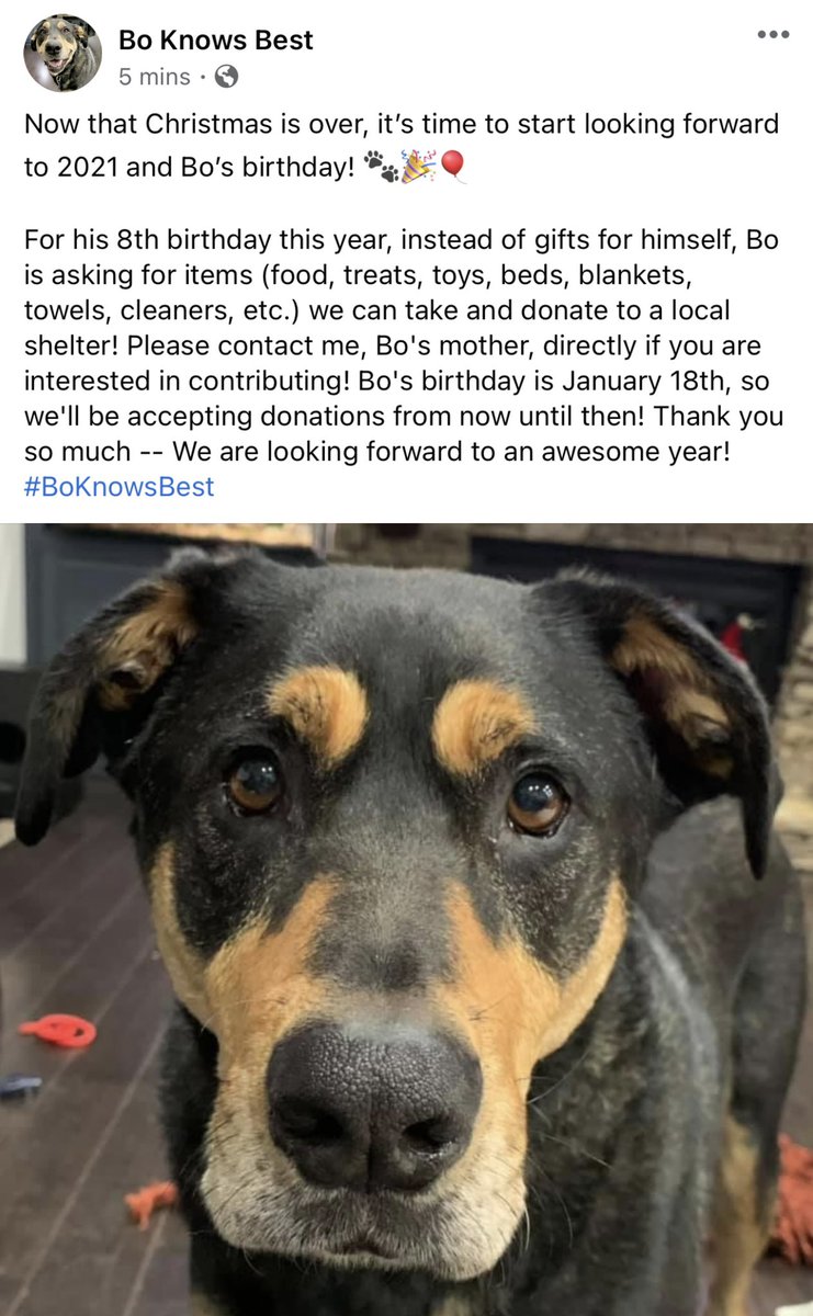 Let me know if you want to help Bo!