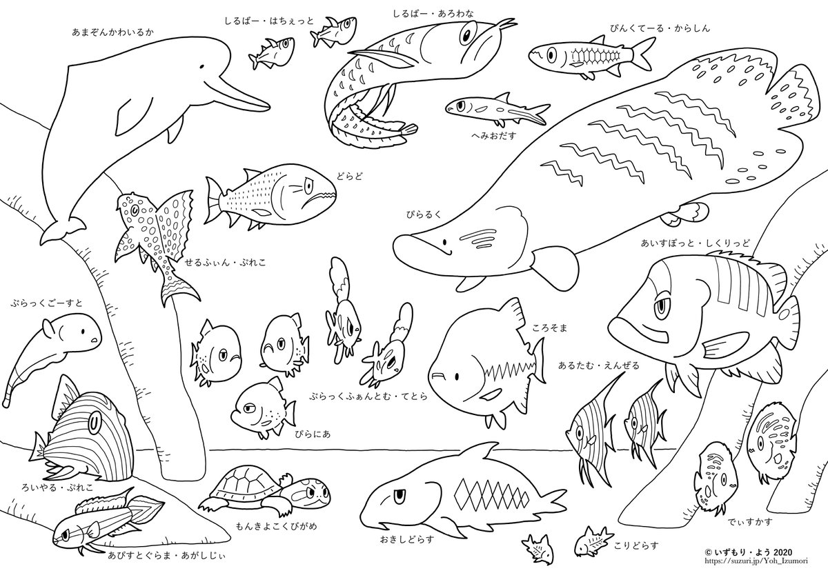 【冬休み支援】南米の淡水生物のぬりえをネットプリントに登録しました。セブンイレブンのマルチコピー機で予約番号 95226970 を入力して印刷してください。A4白黒・1枚20円。1月3日まで有効。この画像をダウンロード→プリントアウトしても使えます。営利目的使用禁止。教育・保育関係の配布OK。 