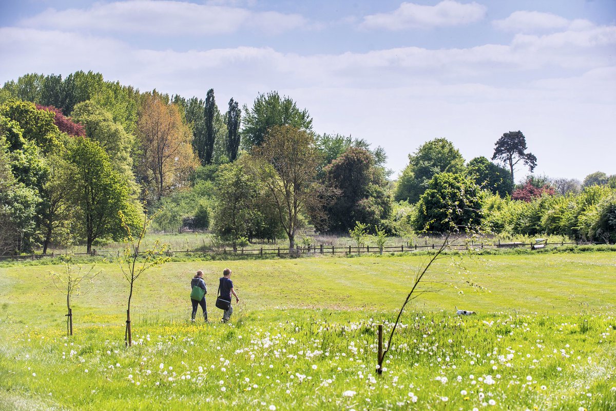 WiltsColl's tweet photo. Can we just take a moment to appreciate the beauty of our Lackham campus?😍
Set amongst fields and woodland on its 234-hectare estate, Lackham offers a spectacular setting for learning.
Discover more here: https://t.co/Vd1HjdKsGA
#wearewiltshire #wiltscoll #lackham #landbased https://t.co/o0zYU2qFJ8