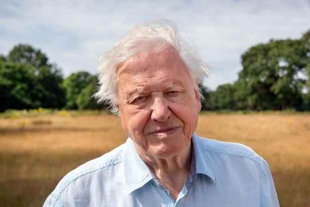 Sir David Attenborough 'punched the air' after Donald Trump lost US election to Joe Biden