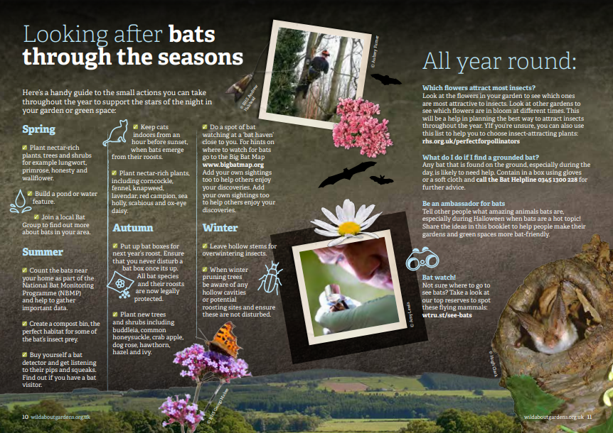 If you are wondering how you can help bats throughout the year do check some of the suggestions in the Stars of the Night leaflet. Get ready for when bats come out of hibernation in Spring 2021! ow.ly/wbw950CPpGg