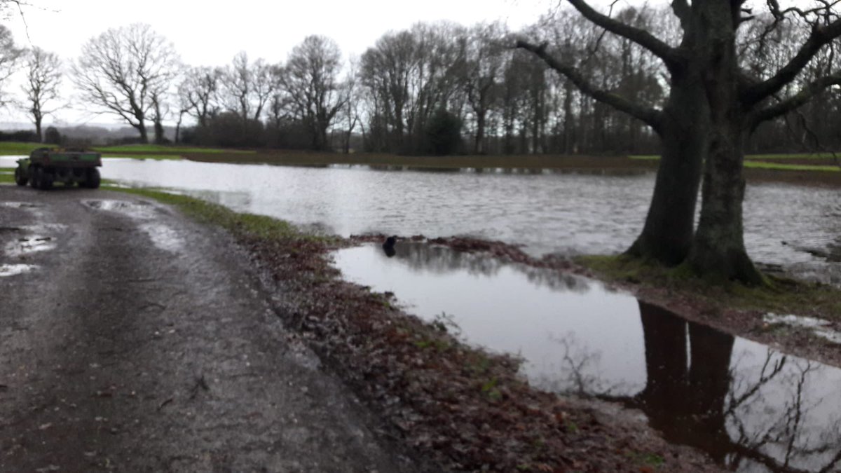 It’s a fraction damp on the course today. This is the 11th.