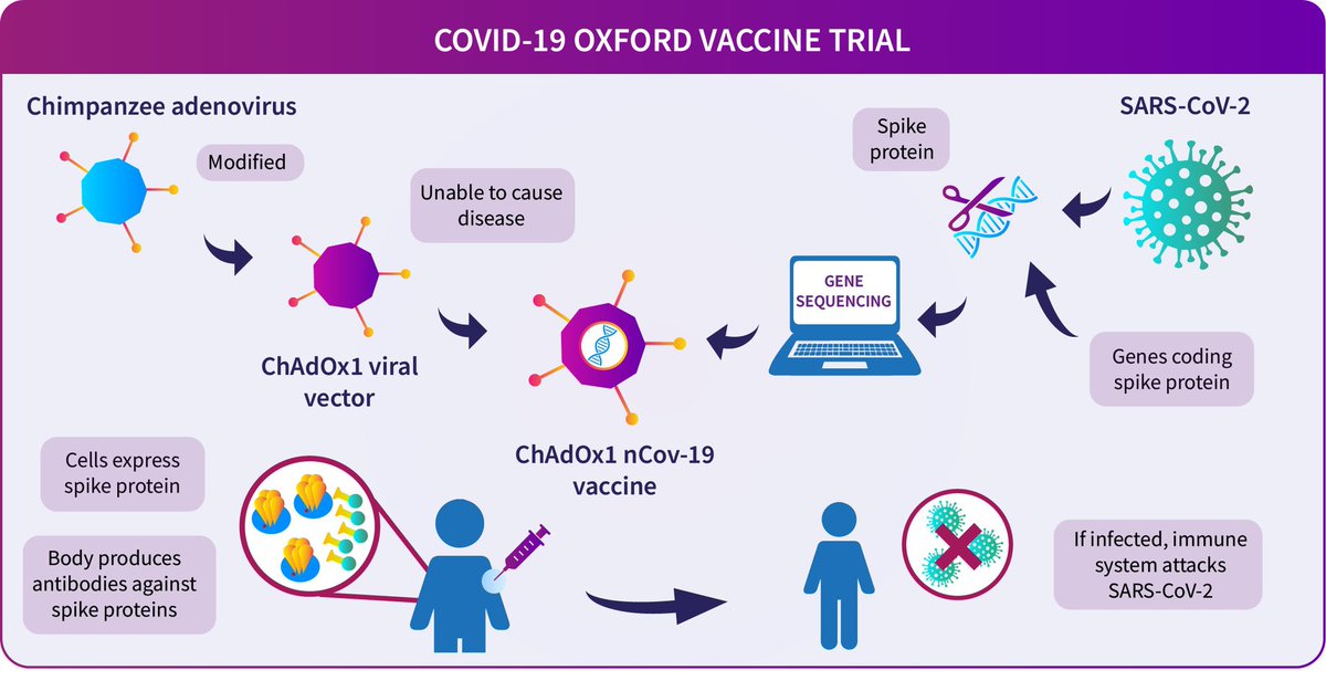 8) The Oxford/AZ vaccine is not an mRNA vaccine like Moderna or Pfizer/BioNTech’s. Oxford relies on a neutralized adenovirus that is harmless, but “hitchhike” tagged with the spike genes of  #SARSCoV2 coronavirus to train our cells to the spike protein.  https://www.research.ox.ac.uk/amp/Article/2020-07-19-the-oxford-covid-19-vaccine