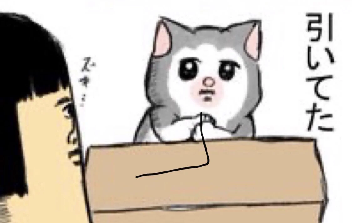 @mamekichirou メロンボの顔…🤣まめちゃん、ドンマイ 