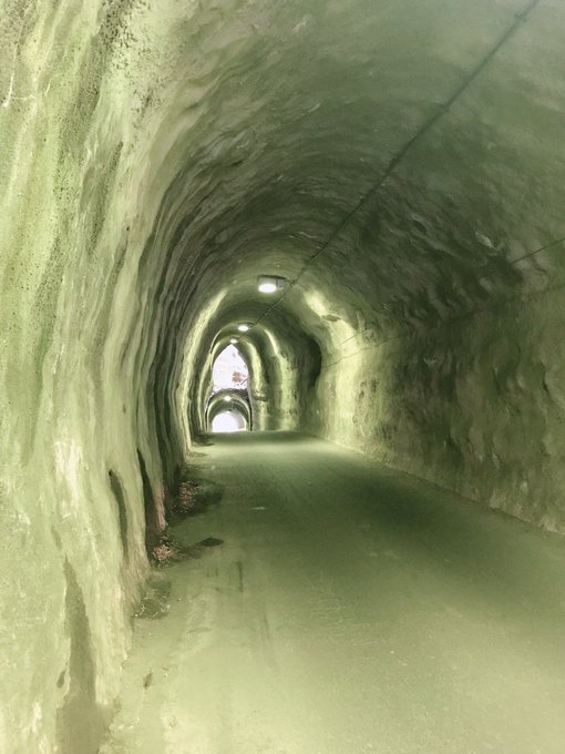 向山トンネルのtwitterイラスト検索結果