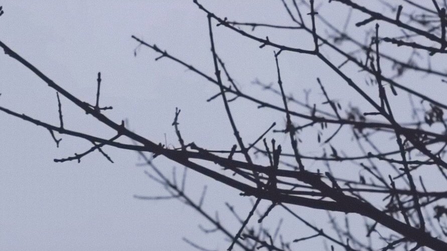 GCF in Helsinki191227MIN 0:38