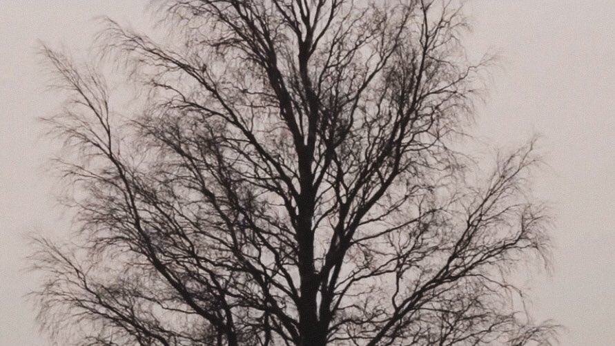 GCF in Helsinki191227MIN 1:19