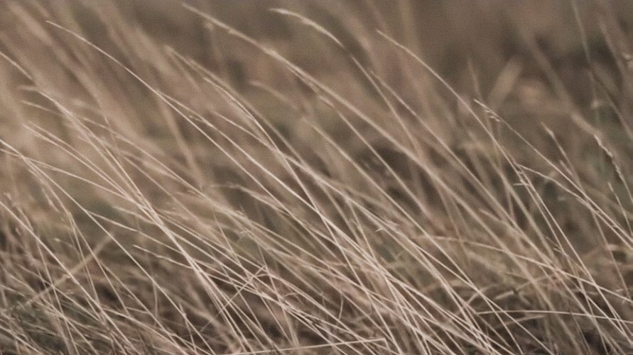 GCF in Helsinki191227MIN 1:31