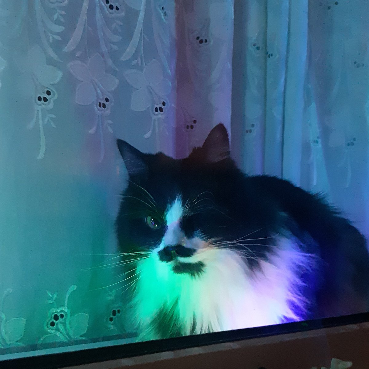 Ля бандит