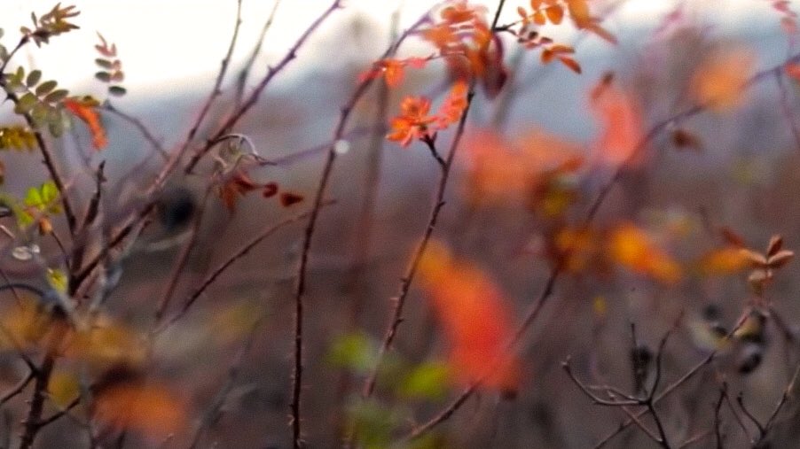 GCF in Helsinki191227MIN 1:55