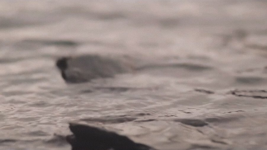 GCF in Helsinki191227MIN 2:07