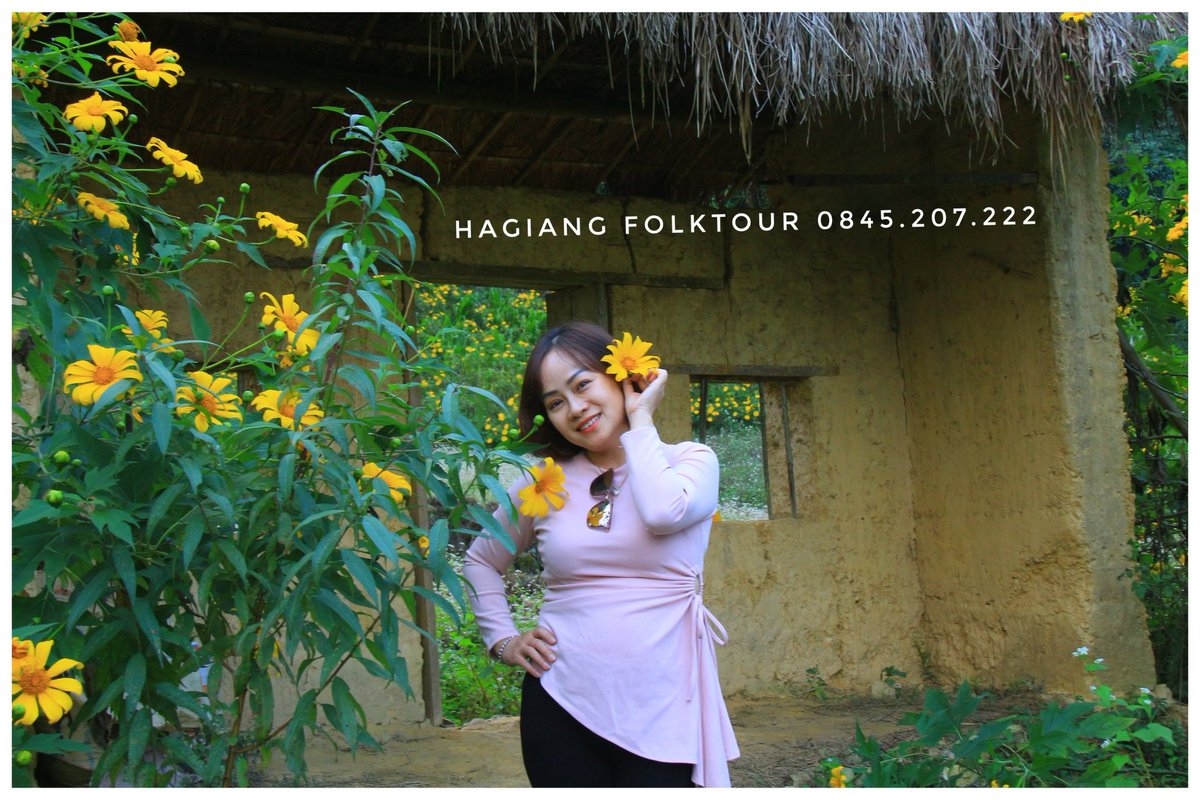 hgfolktour's tweet photo. Ngày chủ nhật cuối cùng của năm 2020. Hà Giang lúc nào cũng đẹp và thời tiết vô cùng tốt.
#Sunday #lastsunday #LastSundayof2020 #myhometown #hometown #hagiang #northernvietnam #northermostofvietnam #beautifulhagiang #checkinhagiang #hgfolktour https://t.co/1BtWSUWvXM