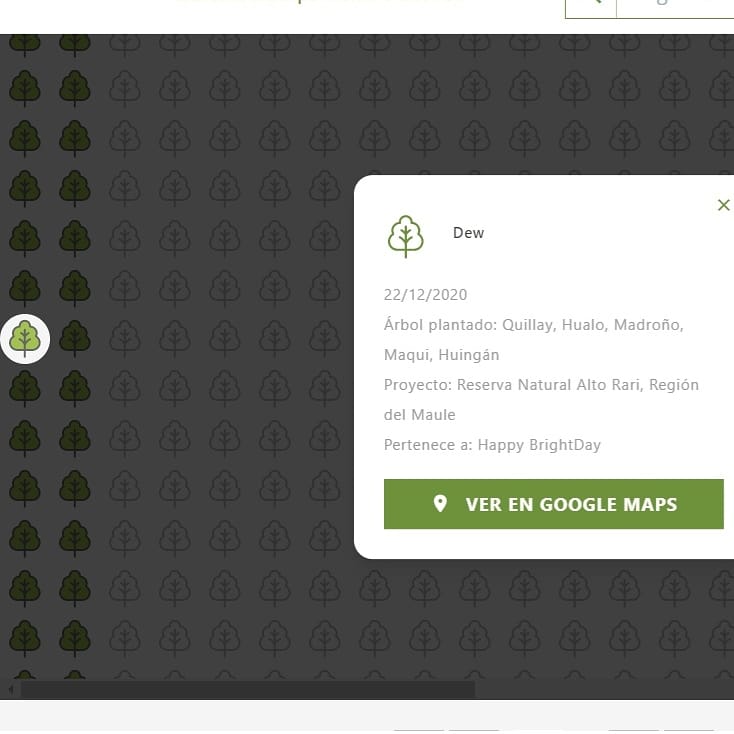 BrightWinChile's tweet photo. 🌳 Some names of trees on the Bright's forest. You can see all the names at https://t.co/0eX8PPdqtt

#23rdBrightDay #bbrightvc #twentytreesforbright @bbrightvc https://t.co/CFq1maVb5p