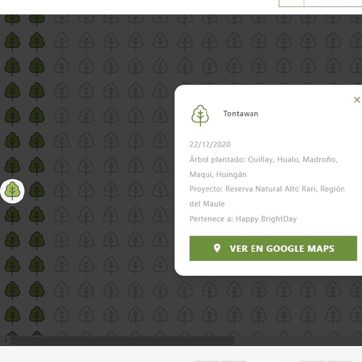 BrightWinChile's tweet photo. 🌳 Some names of trees on the Bright's forest. You can see all the names at https://t.co/0eX8PPdqtt

#23rdBrightDay #bbrightvc #twentytreesforbright @bbrightvc https://t.co/CFq1maVb5p