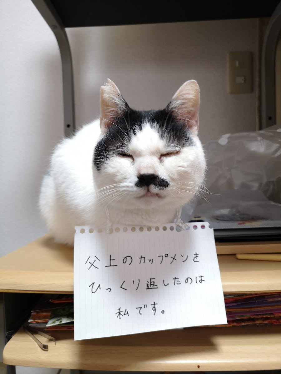 hanamono0104's tweet photo. 凄惨な現場が広がったかと思われます。 https://t.co/cyDSVvfera