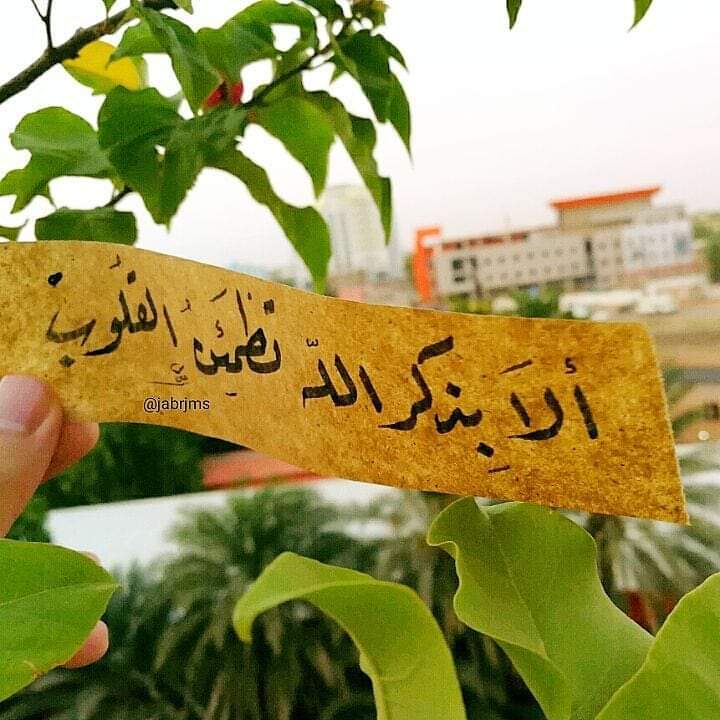 أسعد الله ايامكم أحبتنا في الله 🌷