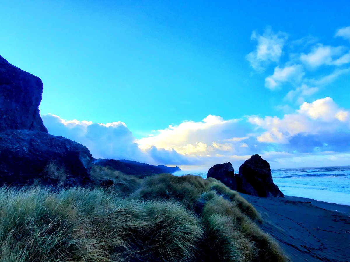 BestNatureVids's tweet image. Who would enjoy exploring this beautiful beach?

#naturelovers #relaxwithnature #beachwalk