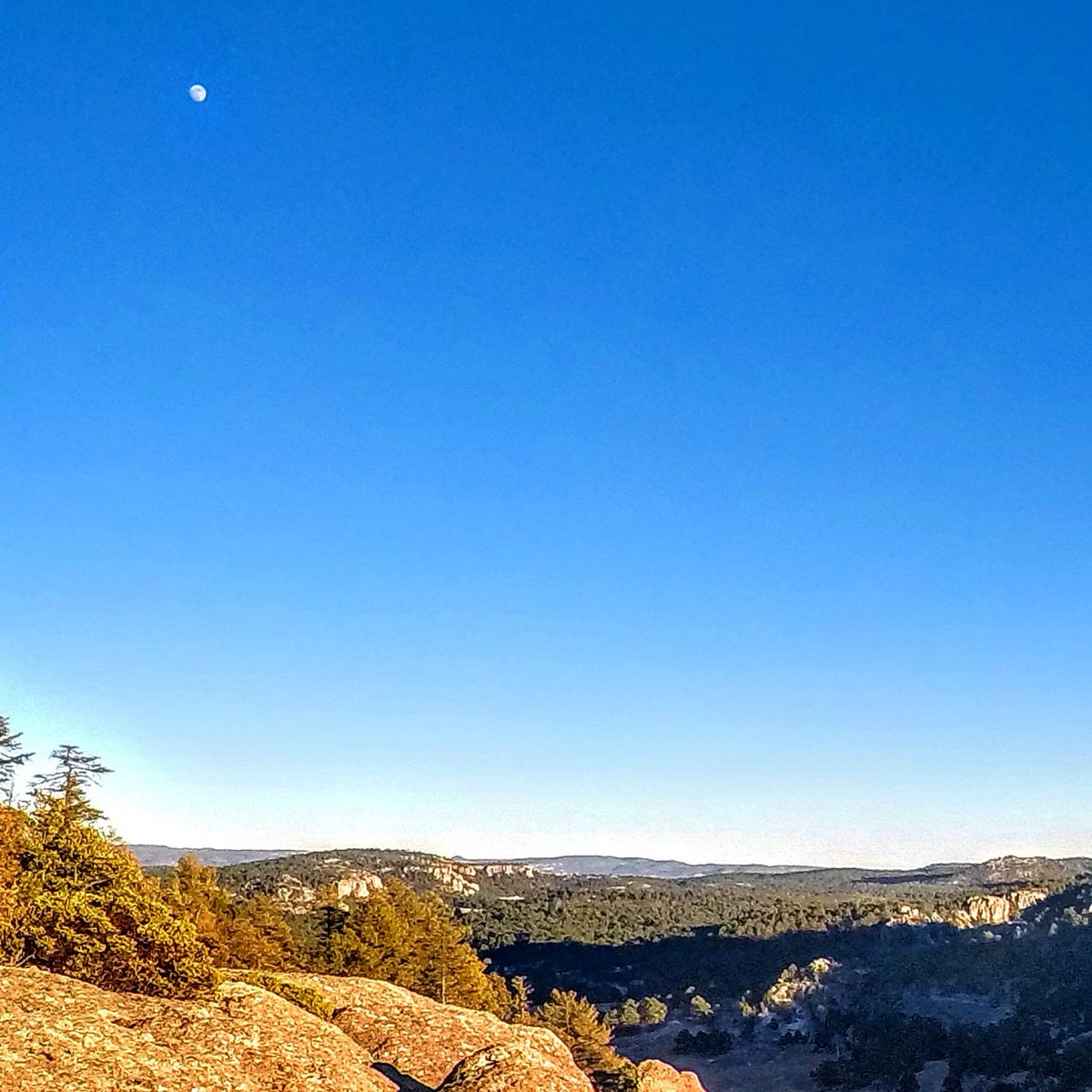 luna_mtb's tweet photo. #Creel
#chihuahua #SierraTarahumara https://t.co/EhSJuD4oCd