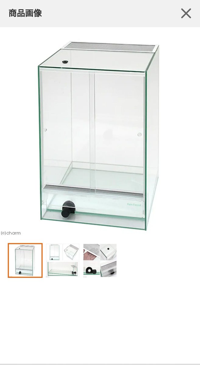ロキ イモヤモリ原神fgo Rainforest Paludarium Cage Pro Pcp3045 をペポニでb級品ってことで9000円くらいで買えましてなにしようかなってなってます 笑 ﾆﾔﾘｯ