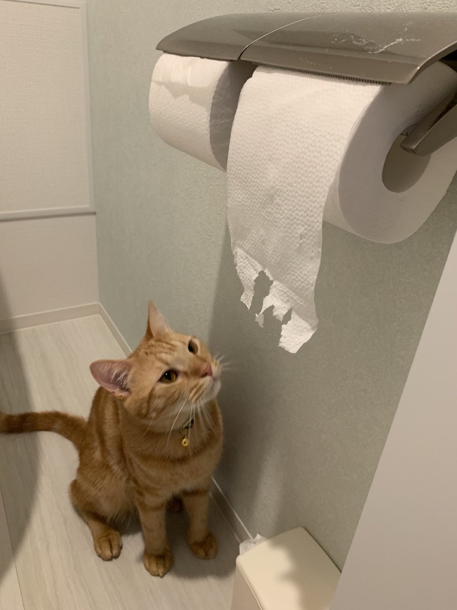 秘書がやりました