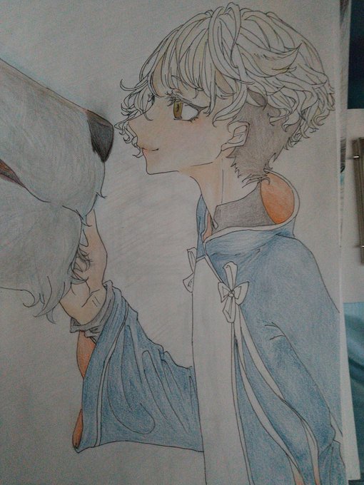 五虎退 の評価や評判 感想など みんなの反応を1週間ごとにまとめて紹介 ついラン